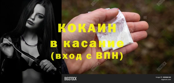 стаф Баксан